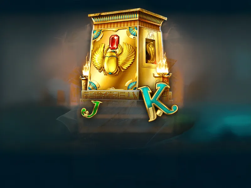 Spinara 5Bonuses